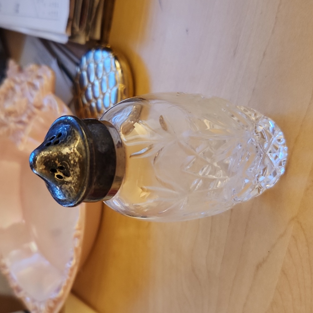 Princess house salt shaker